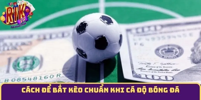 Cách để bắt kèo chuẩn khi cá độ bóng đá