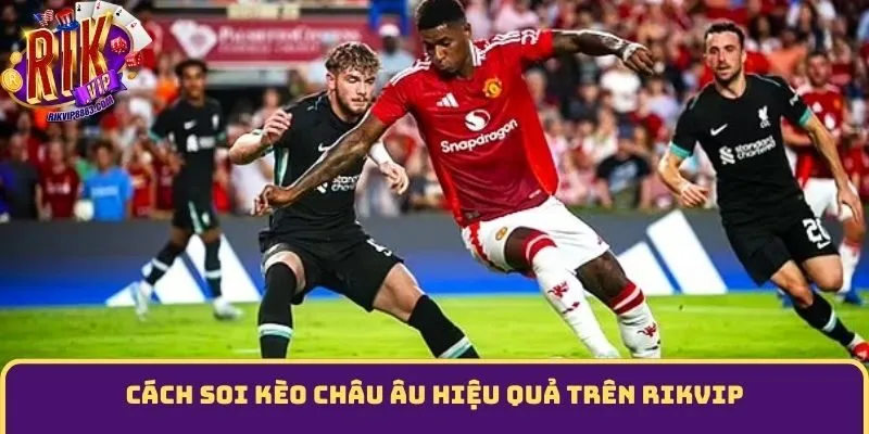 Cách soi Kèo châu âu hiệu quả trên Rikvip