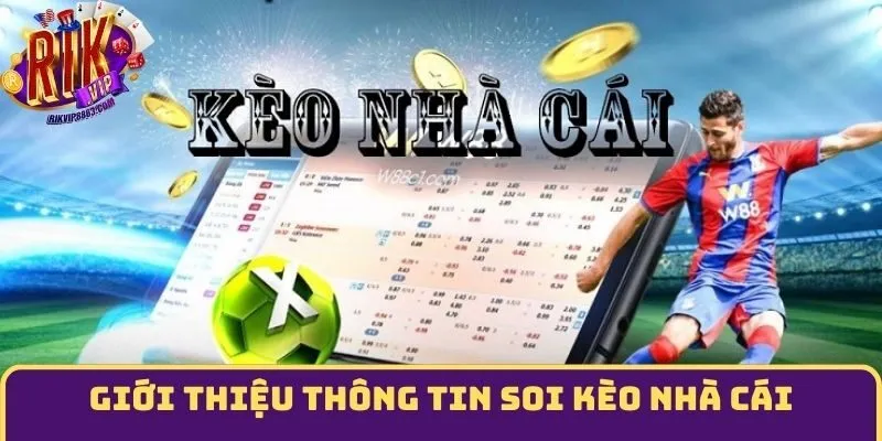 Giới thiệu thông tin soi kèo nhà cái trực tuyến
