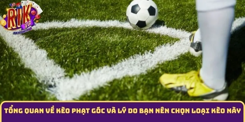 Tổng quan về kèo phạt góc và lý do bạn nên chọn loại kèo này